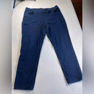 Chicos The Platinum Jegging
